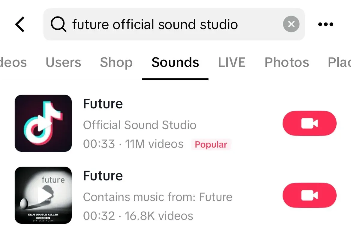 Future song