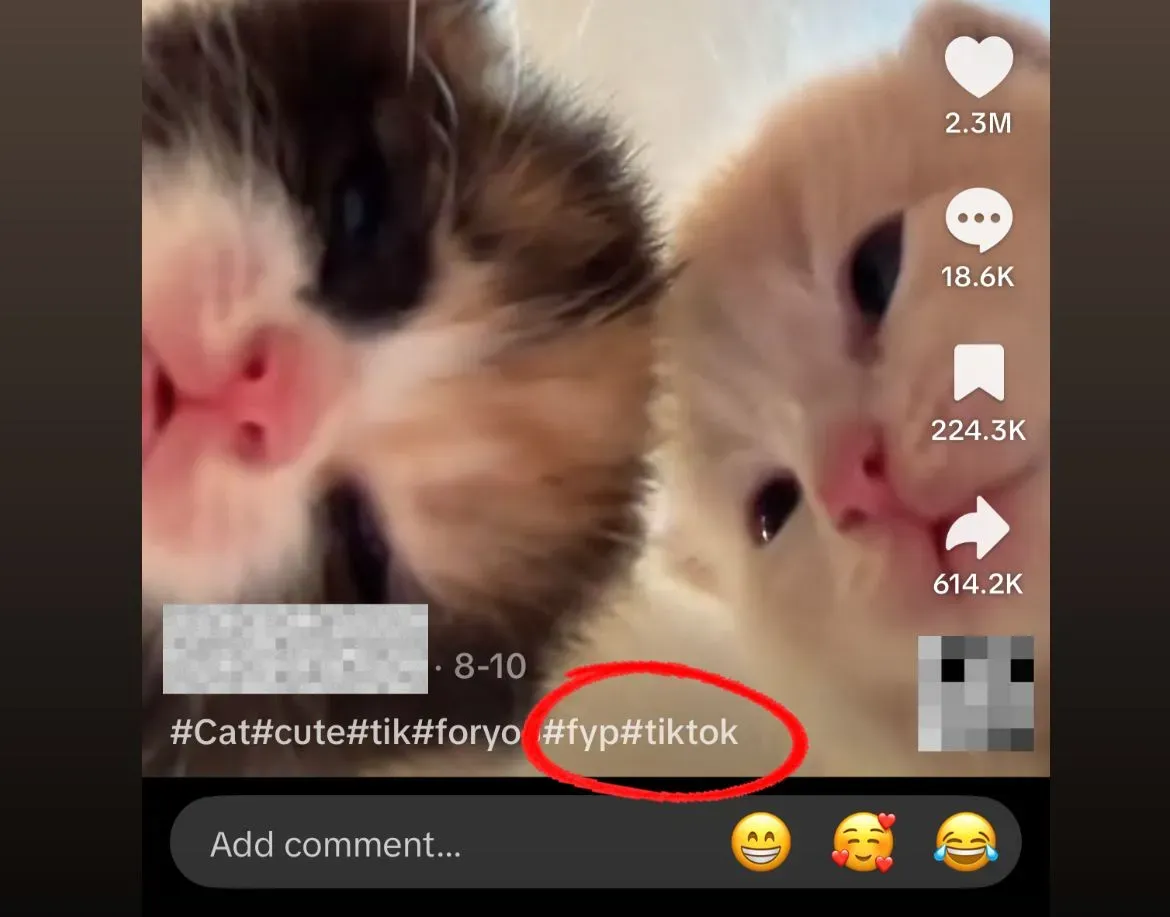 Broad vs niche hashtags comparison