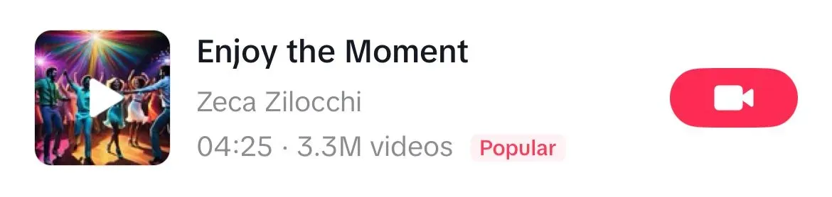 Enjoy The Moment song