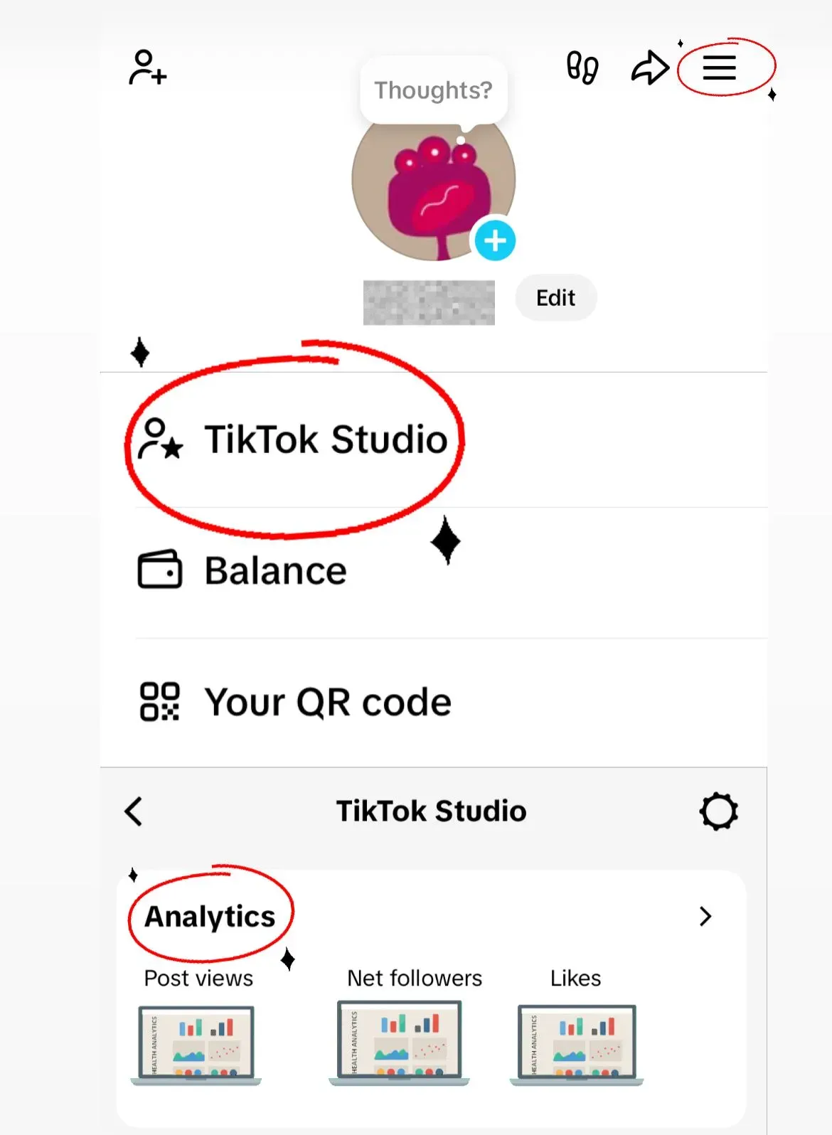 TikTok Studio analytics