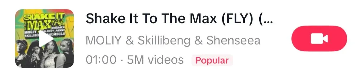 Shake It To The Max song