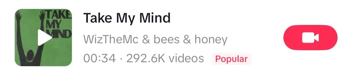 Take My Mind song