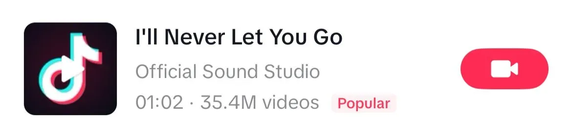 I'll Never Let You Go song