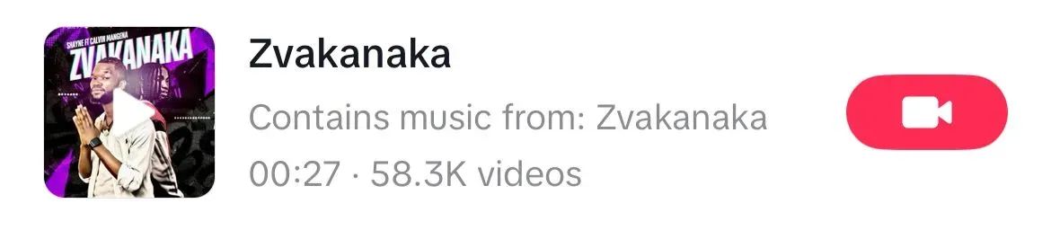 Zvakanaka song