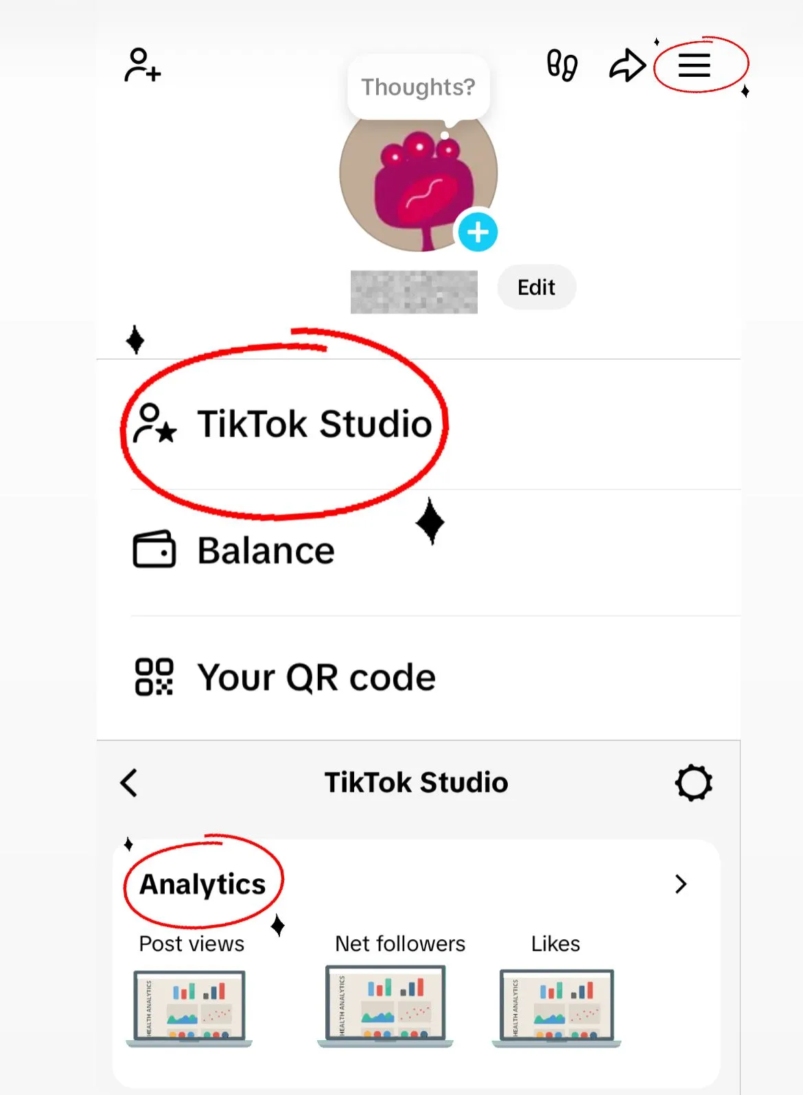 TikTok Studio analytics