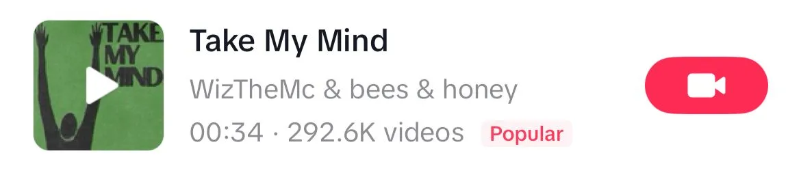 Take My Mind song