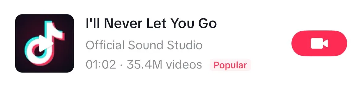 I'll Never Let You Go song